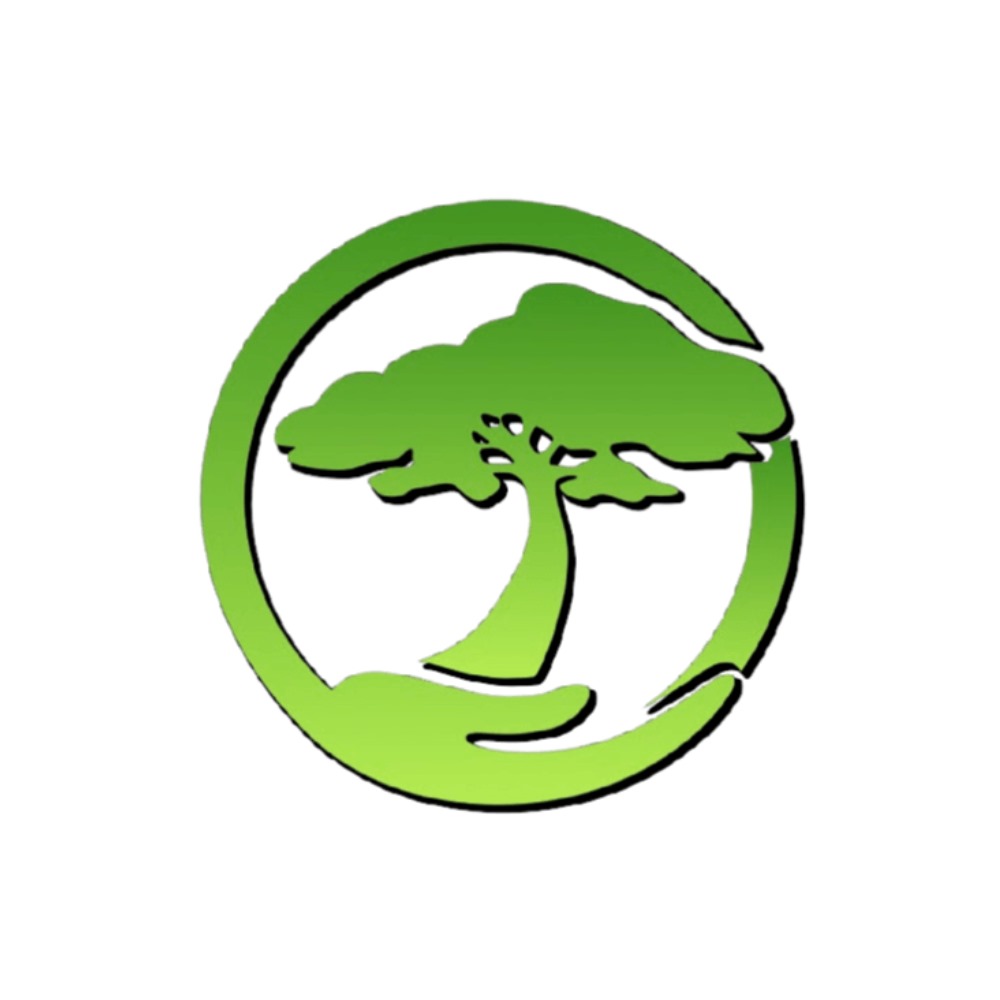 Providing high-quality services to our clients.